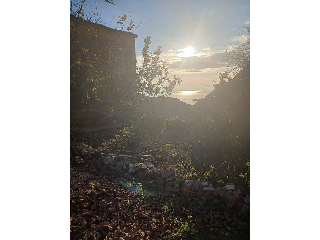 SASAJ, HIMARE, SHESIM SHTEPI PRIVATE + TOKE ME PAMJE NGA DETI
