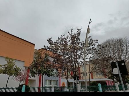 Shitet Ambjent Biznesi ne Zonen e Vasil Shantos prane Keshit