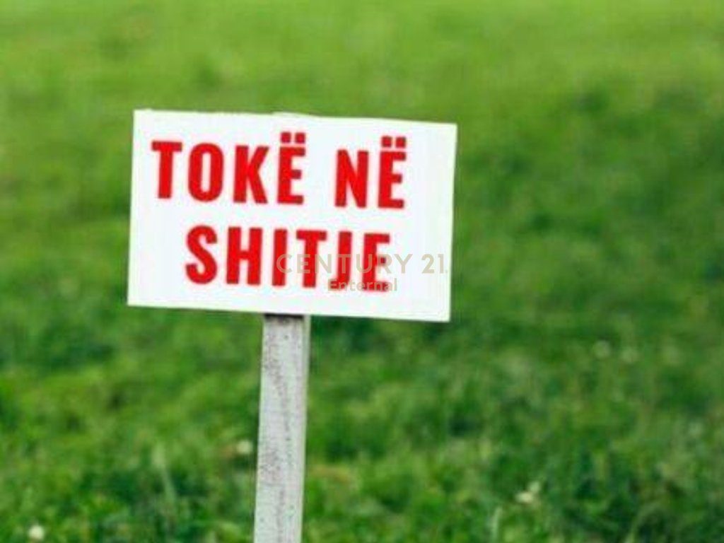 Shitet toke prane Murages , Dajt