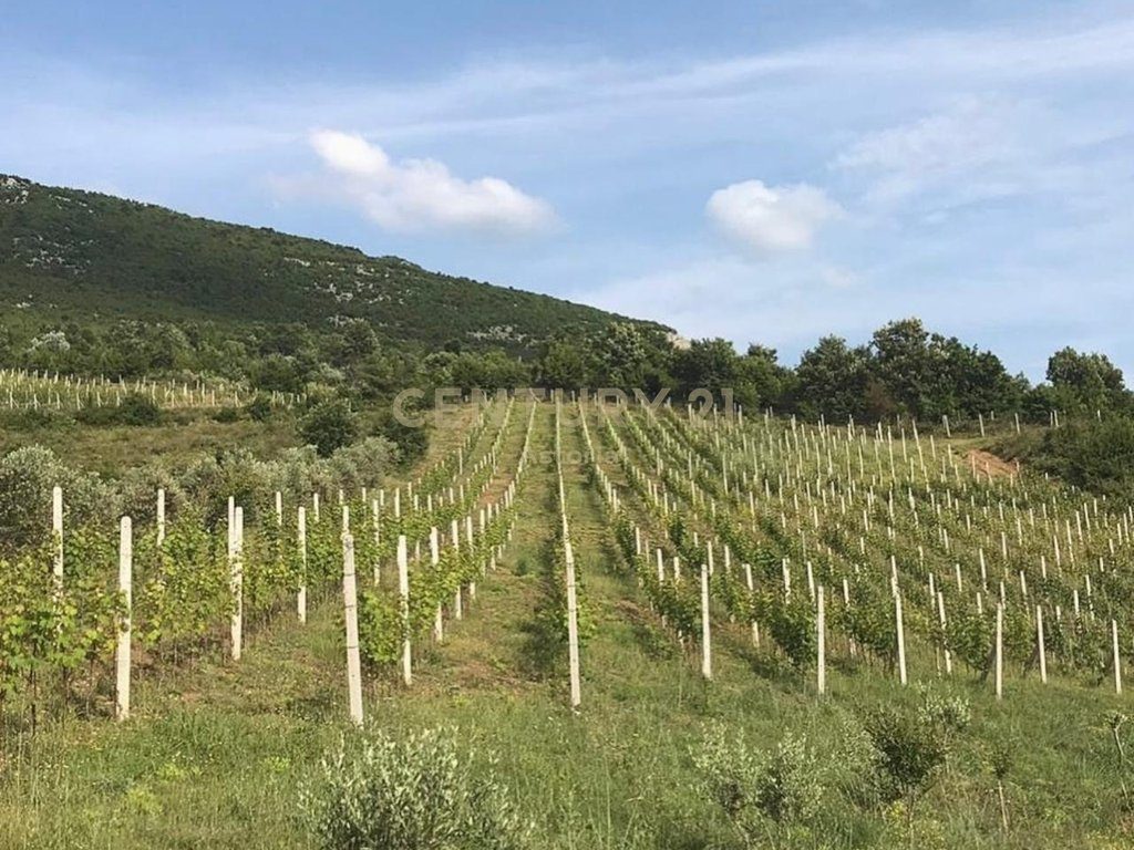 SHITET KOMPLEKS ME VRESHT, KANTINË VERE, RESTORANT DHE AKOMODIM – 13,200 M² NË BYSHEK, ELBASAN