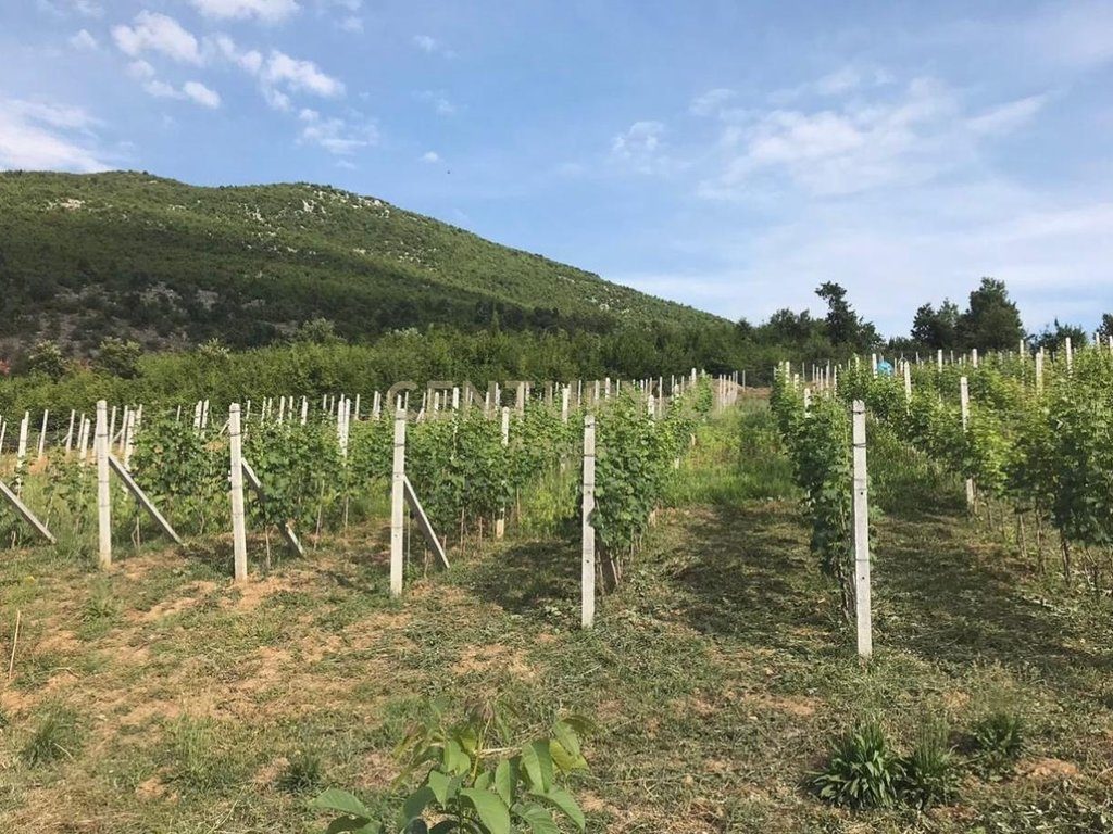 SHITET KOMPLEKS ME VRESHT, KANTINË VERE, RESTORANT DHE AKOMODIM – 13,200 M² NË BYSHEK, ELBASAN