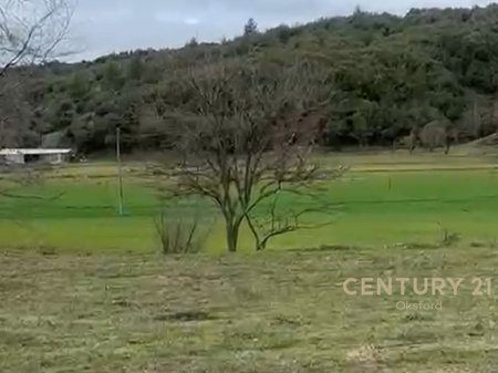 Shitet Ullishte ne Baldushk!