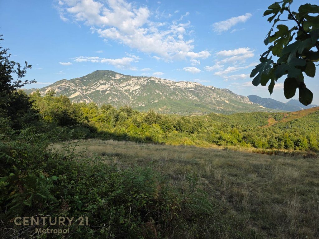 Toke Are Për Shitje në Periferi të Krujës
