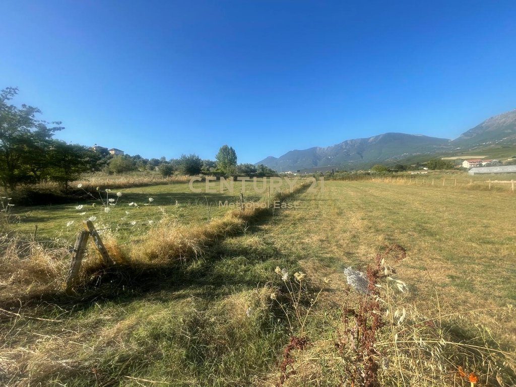 SHITET 2000 m² TOKE NE ZONEN E LUNDRES