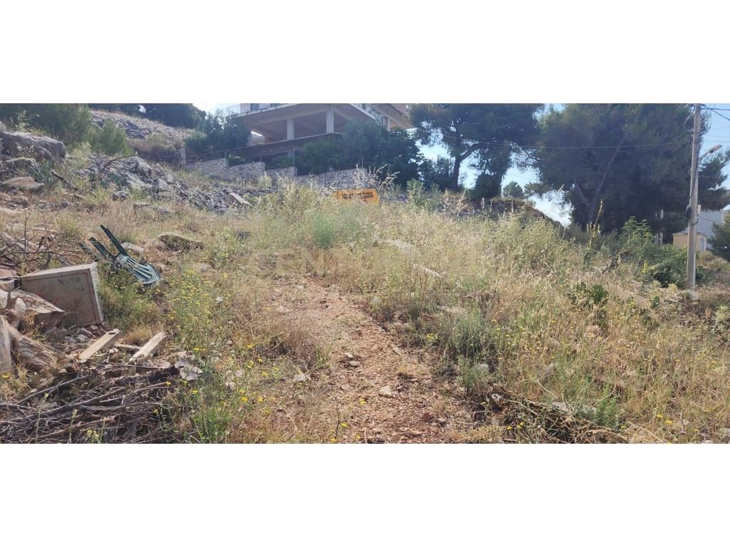 SARANDE, TRUALL PER SHITJE