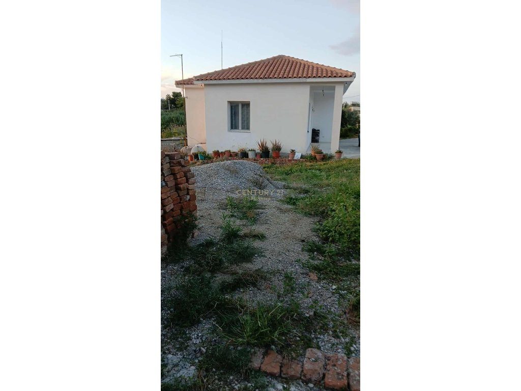 Shitet Prona në Shijak, Durrës – Ideale për Agroturizëm & Investim