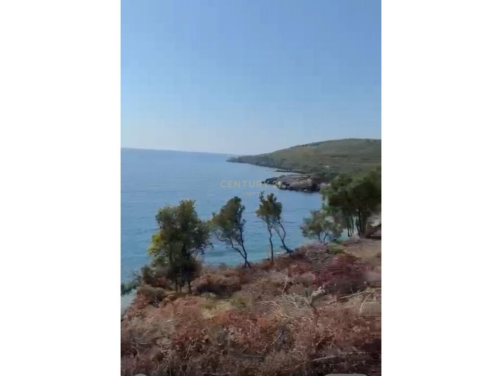 Shitet Tokë në Jalë, Vlorë