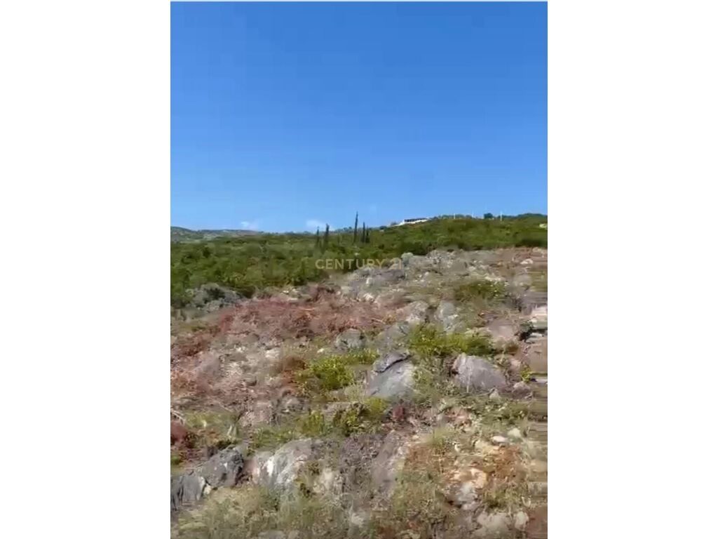 Shitet Tokë në Jalë, Vlorë