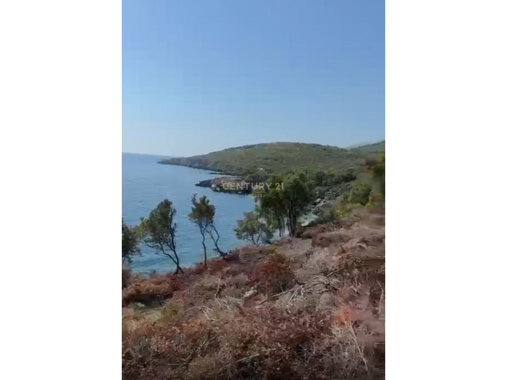 Shitet Tokë në Jalë, Vlorë