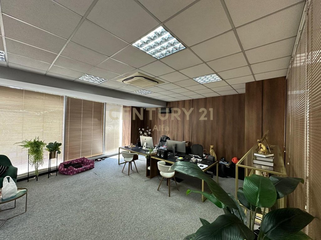 Jepet me qira ambient zyrash te Hilton, pranë Delijorgjit – Tiranë