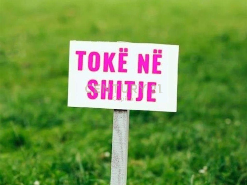 SHITET TOKE NE PETRELE!
