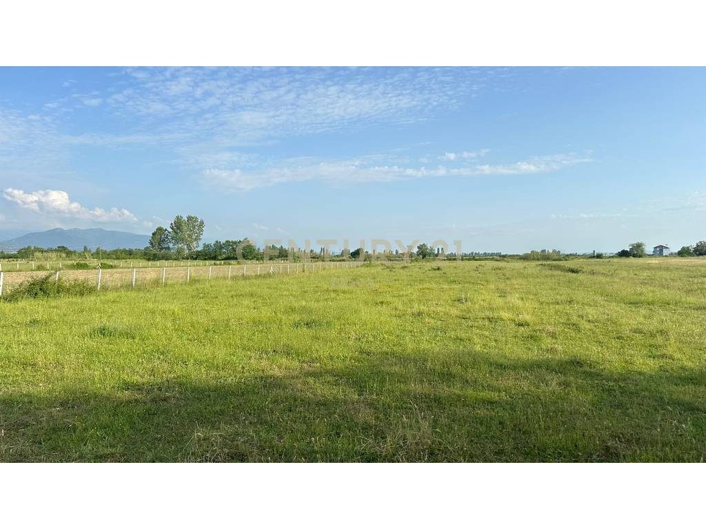 Shitet Toke ne Ishull-Lezhe | 6870m2