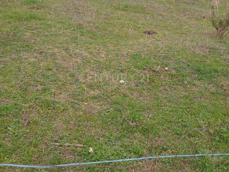 Toke per shitje ne Kombinat , 800 m2