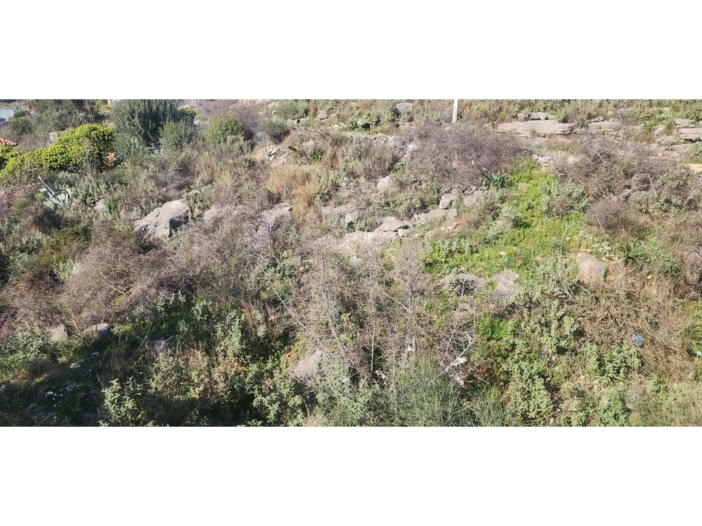 SARANDE, SHESIM TRUALL ME PAMJE NGA DETI