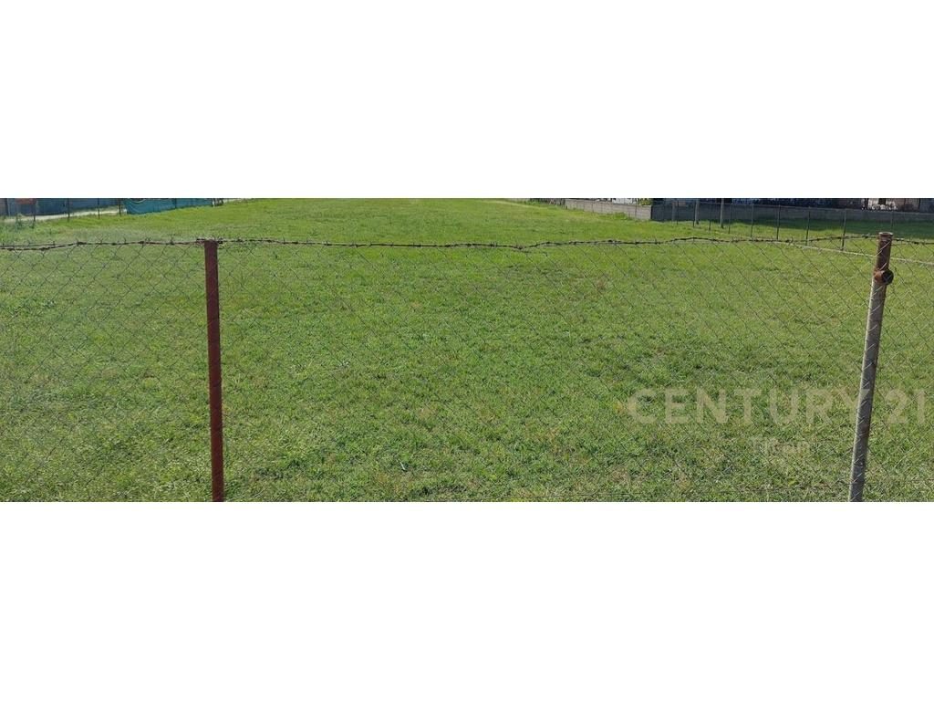 SHITET TOKE 6380m2, NE KAMEZ!!