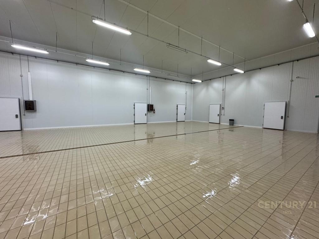 Shitet kompleks industrial/komercial