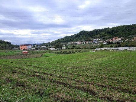 Tokë per ndertim Për Shitje në Prush Tiranë - 520000€ | 7000 m²