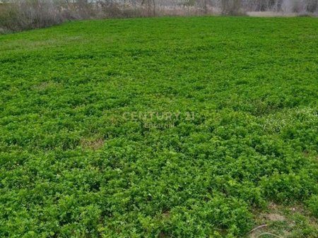 Toke 7000 m2 ne Paskuqan, Koder Kuqe, me Pamje nga Liqeni