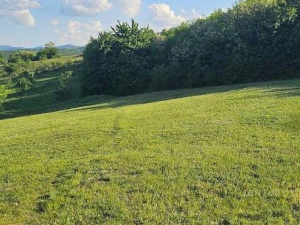 Shitet Toke ne Spiten-Lezhe