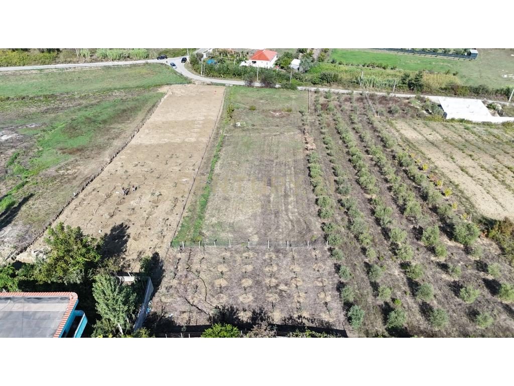 Tokë Për Shitje në Arapaj, Durrës - 22,000€ | 500 m²