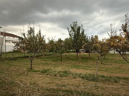 TOKE PER SHITJE NE POGRADEC!!!