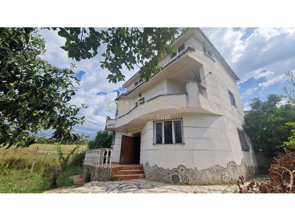 SHTEPI 3 KATESHE PER SHITJE - PEZE ( TE LAPIDARI )