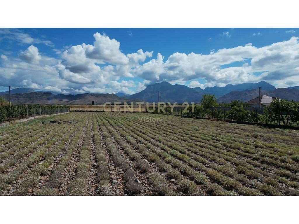 Tokë për Shitje në Koplik, Malesi e Madhe- 18€ | 2500 m²