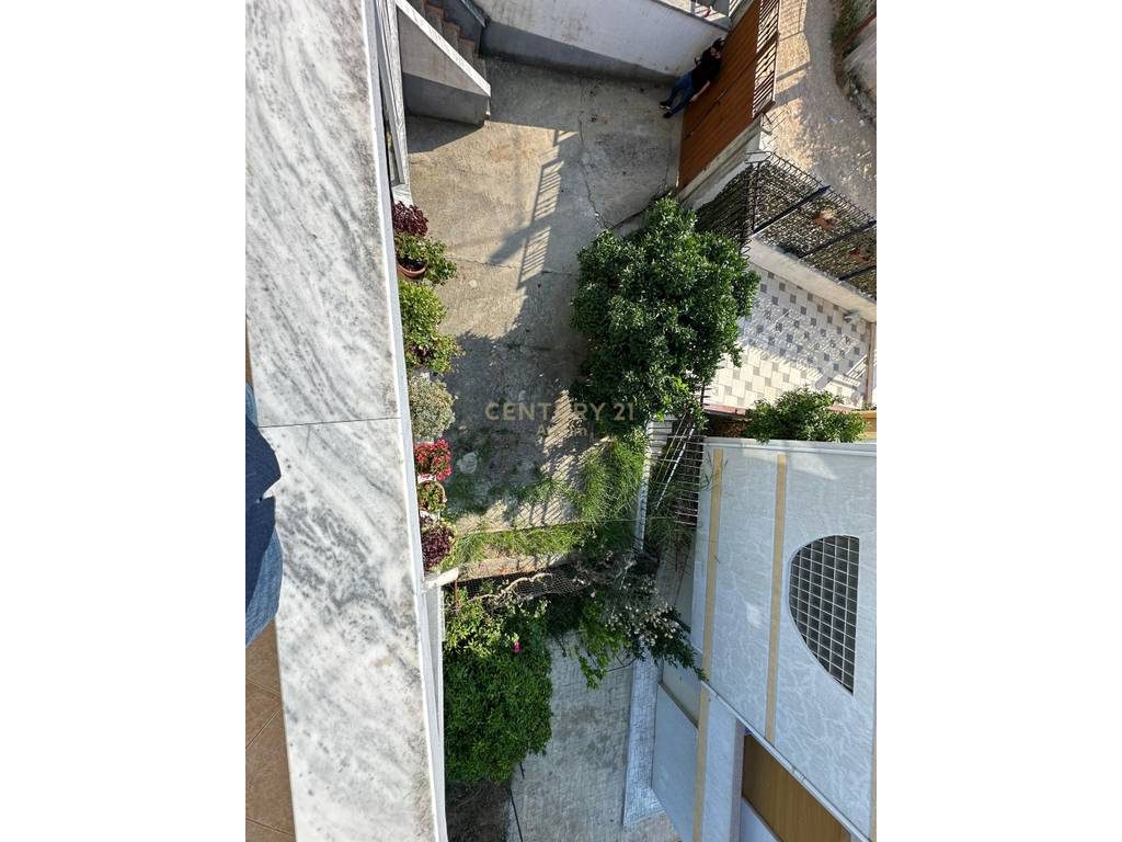 SHITET VILE NE SHKOZE PRANE KRYEGJYSHATES !