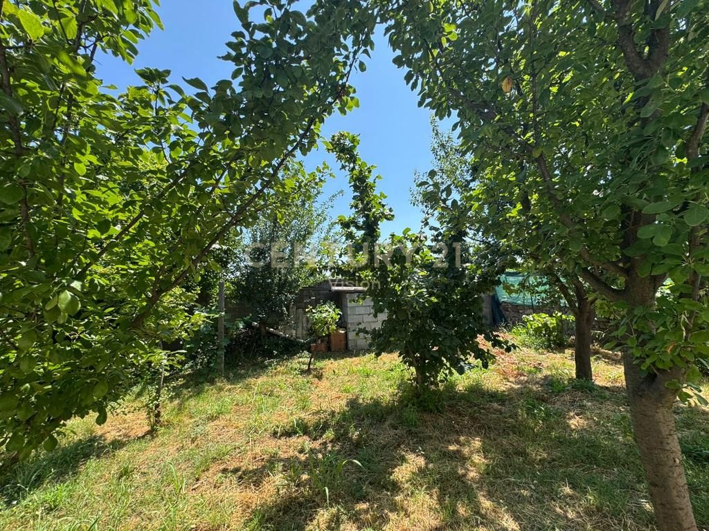 Shtëpi private + toke për shitje në Golem, Shkodër  | 1000 m²