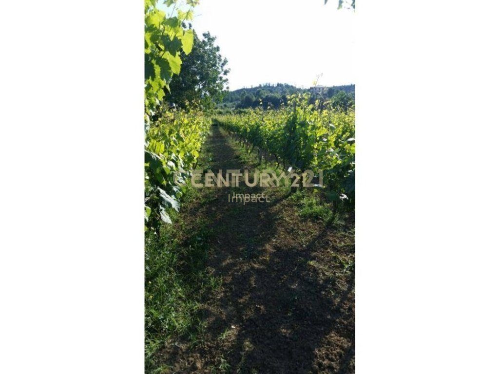 TOKE PER SHITJE NE BALDUSHK( Tiranë) - 103,000€ | 2300 m²