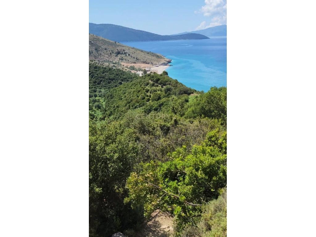 LUKOVE, SHESIM TOKE