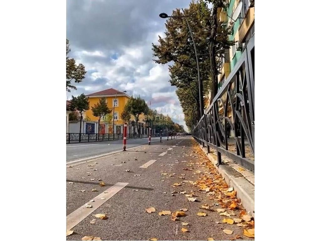 SHITET DYQAN BASHKE ME GARSONIERE TEK FORTUZI