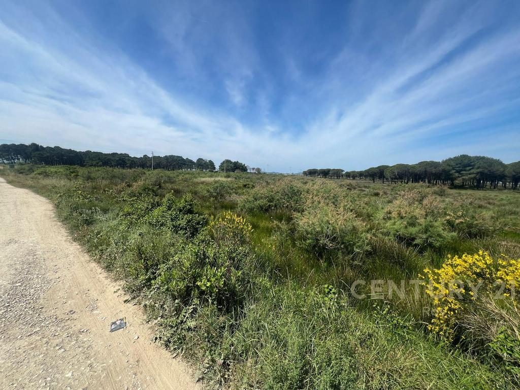 SHITET 4.000M2 TOKE 80€/m2 NE SEKTOR RINIA!