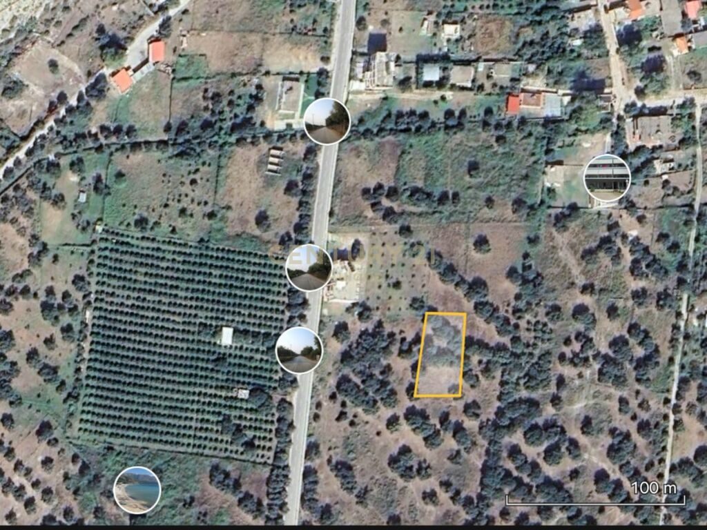 TOKE PER SHITJE NE BORSH