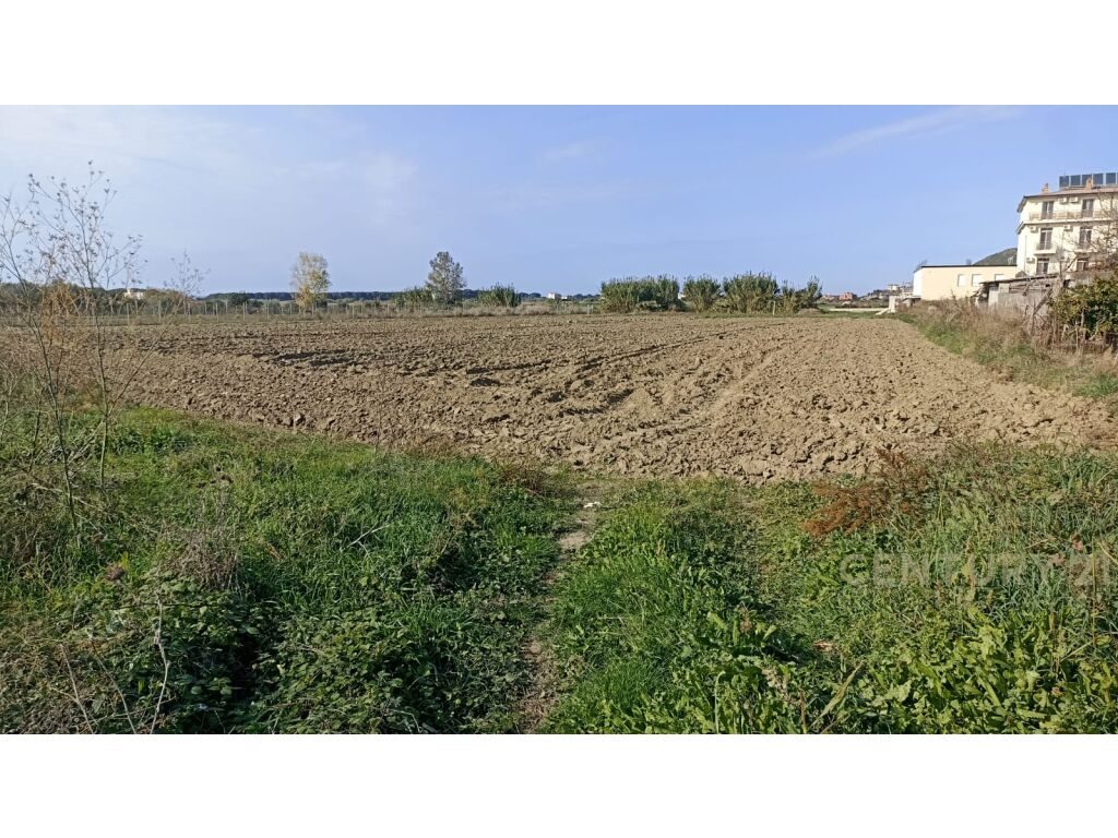 Toke per shitje ne Spille  4500 m²