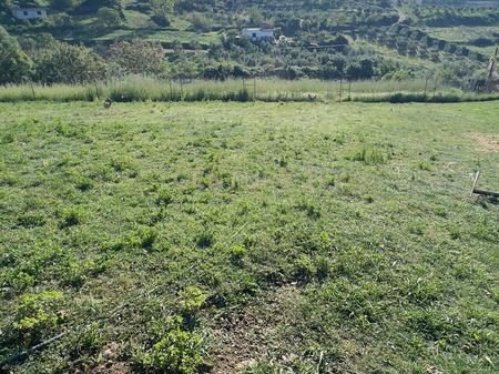Tokë Për Shitje në Arapaj, Durrës