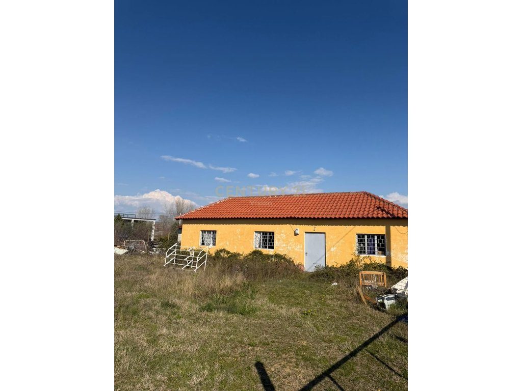 Shtepi Private në Shitje në Velipojë