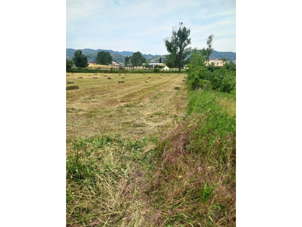 Tokë Për Shitje në Pezë - Helmes, Tiranë - 235000€ | 3500 m²