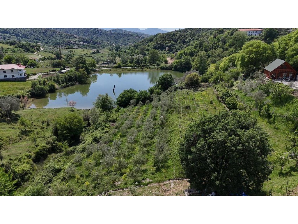 BUZE LIQENI I LANABREGAS, SHESIM TOKE 6135 M2