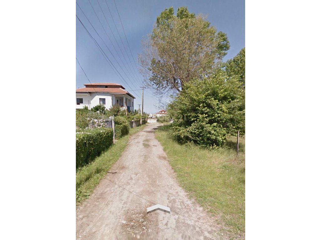SHITET TOKE TRUALL PLAZH HEKURUDHA PRANE XHAMISE!