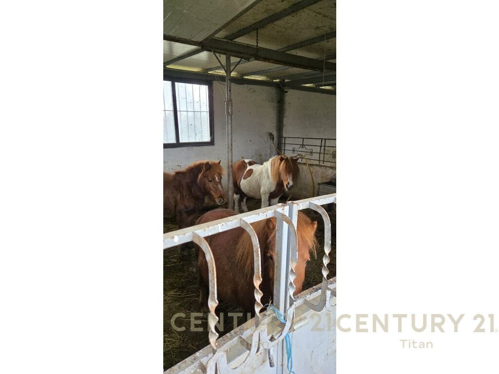 🌿✨ FERME – AGROTURIZËM ME VILA DHE TOKË NE SHITJE!  PRANE RINASIT!!