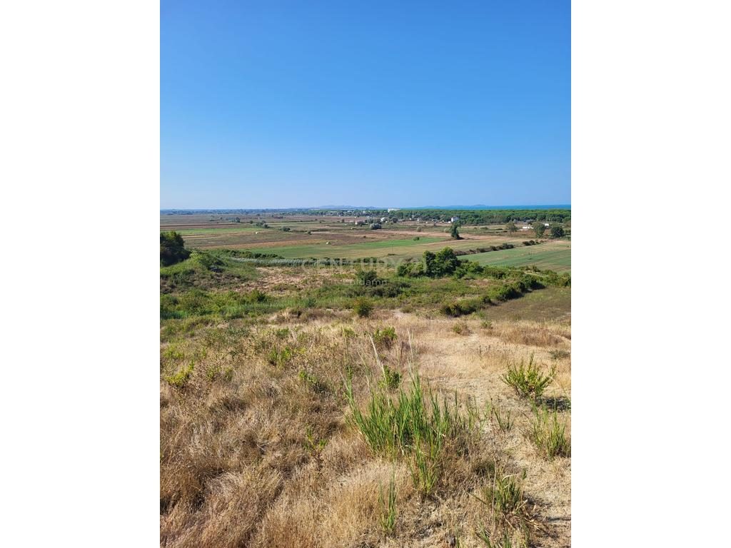 TOKË PËR SHITJE NË  GJIRIN E LALZIT  180.000 € | 3000 m²