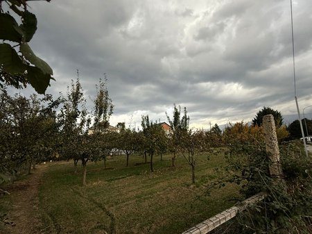 Shitet Tokë në Pogradec, Vetëm 30 m nga Liqeni