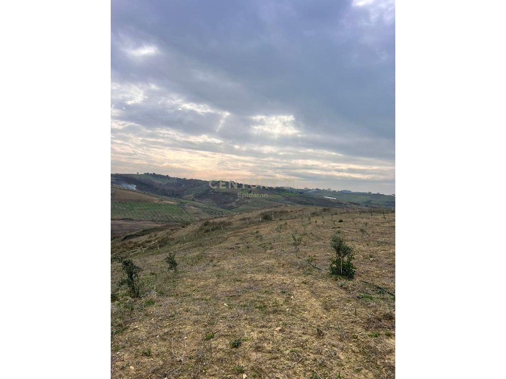 Tokë për Shitje në Arapaj, Durrës - 362700€ | 8060 m²