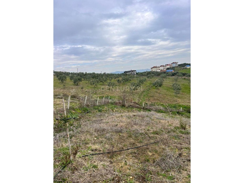 Tokë për Shitje në Arapaj, Durrës - 362700€ | 8060 m²