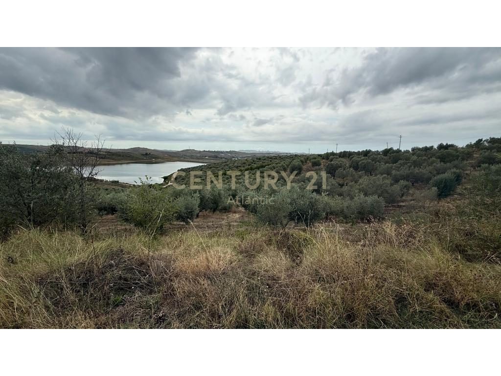 Tokë Për Shitje në Periferi Te Shijakut - 315,000€ | 10459 m²