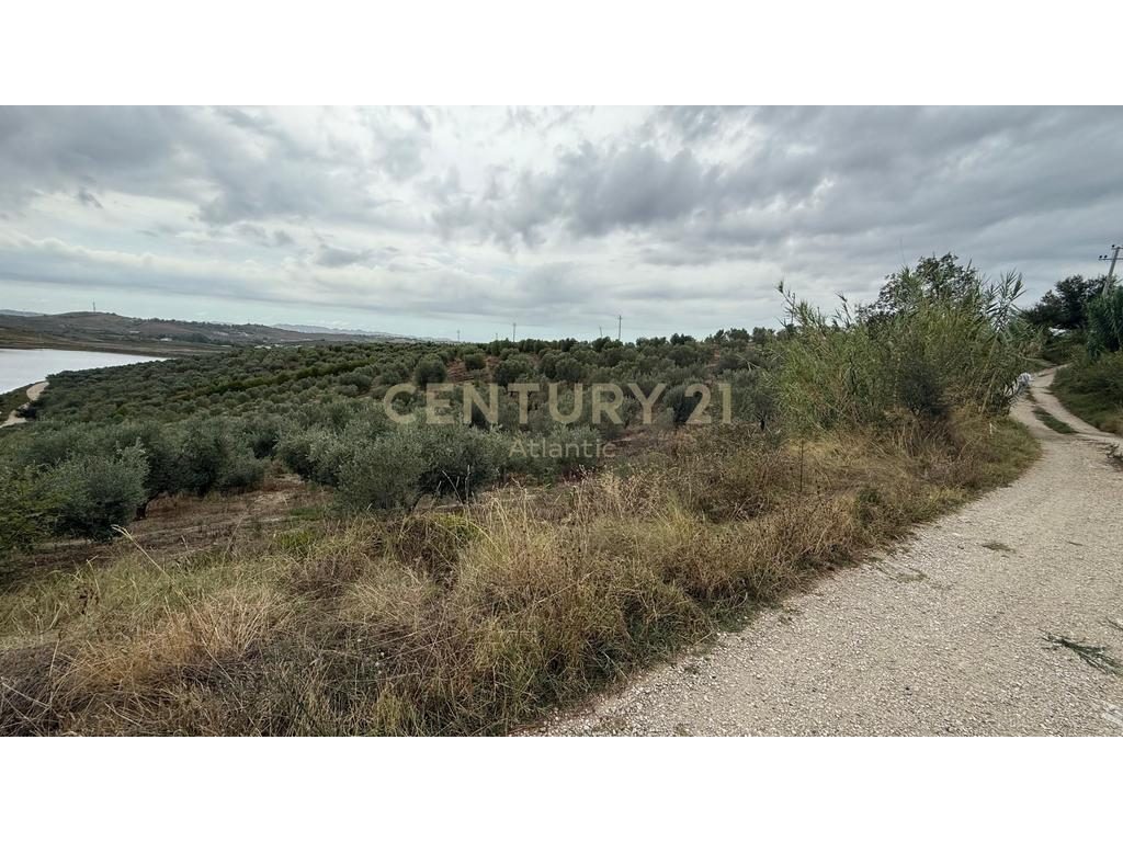 Tokë Për Shitje në Periferi Te Shijakut - 315,000€ | 10459 m²