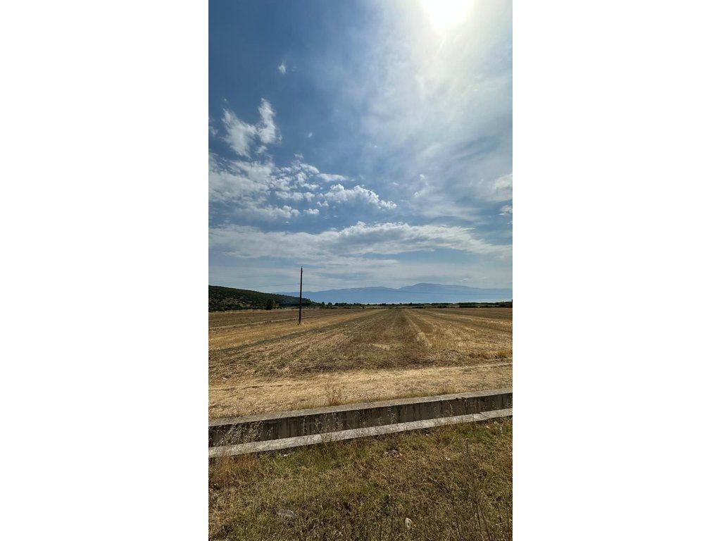 TOKË BUQEZË – 1,176 m² PËR SHITJE • PËRDORIM BUJQËSOR
