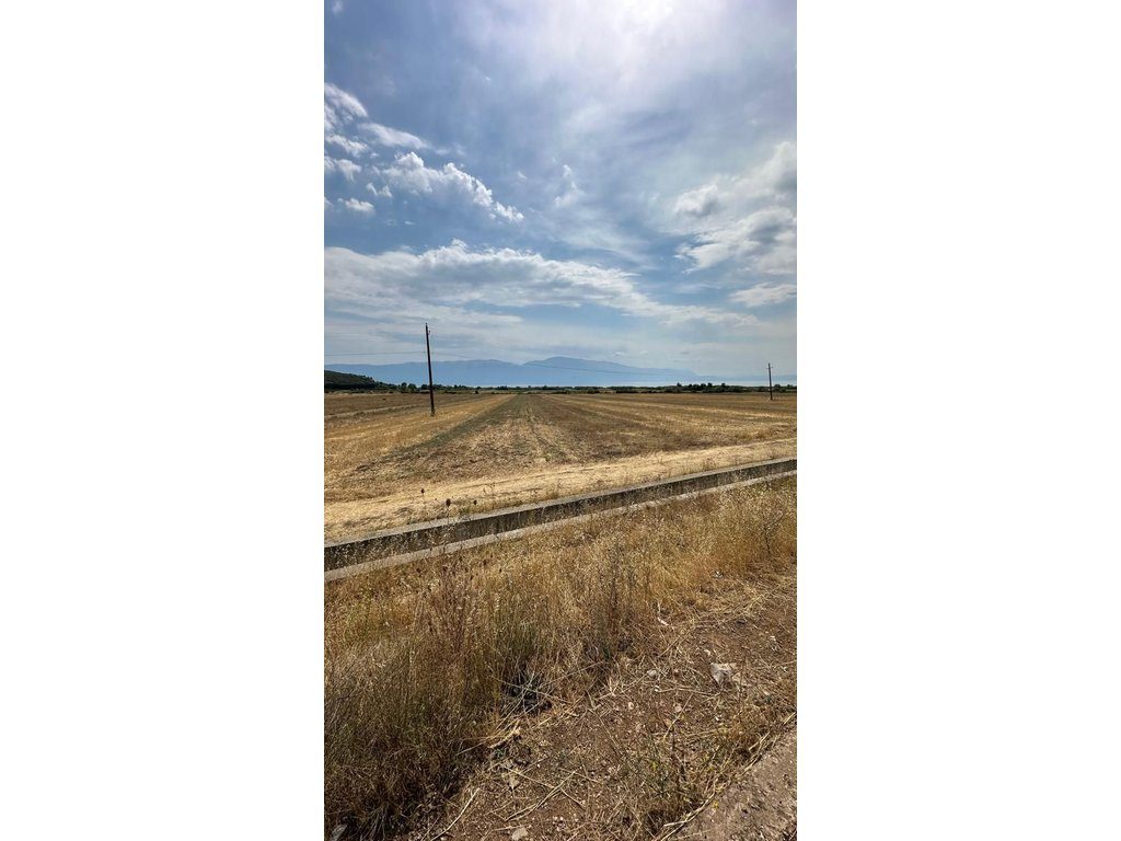 TOKË BUQEZË – 1,176 m² PËR SHITJE • PËRDORIM BUJQËSOR