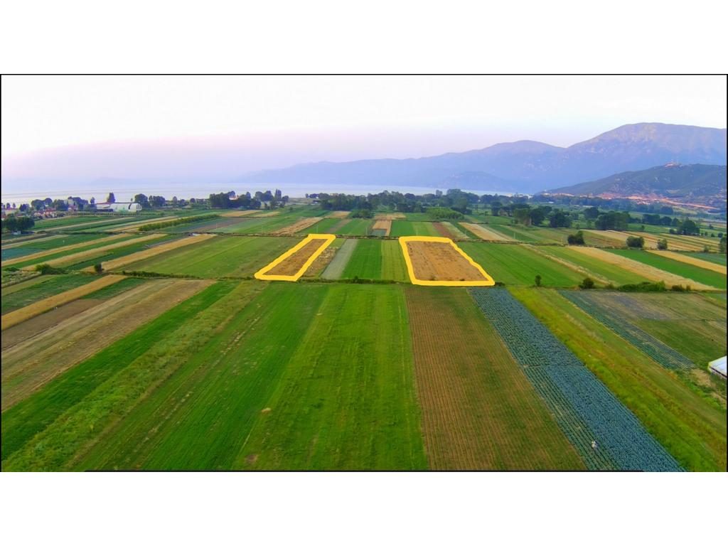 TOKË 3147 M2 PËR SHITJE NË POGRADEC !!!